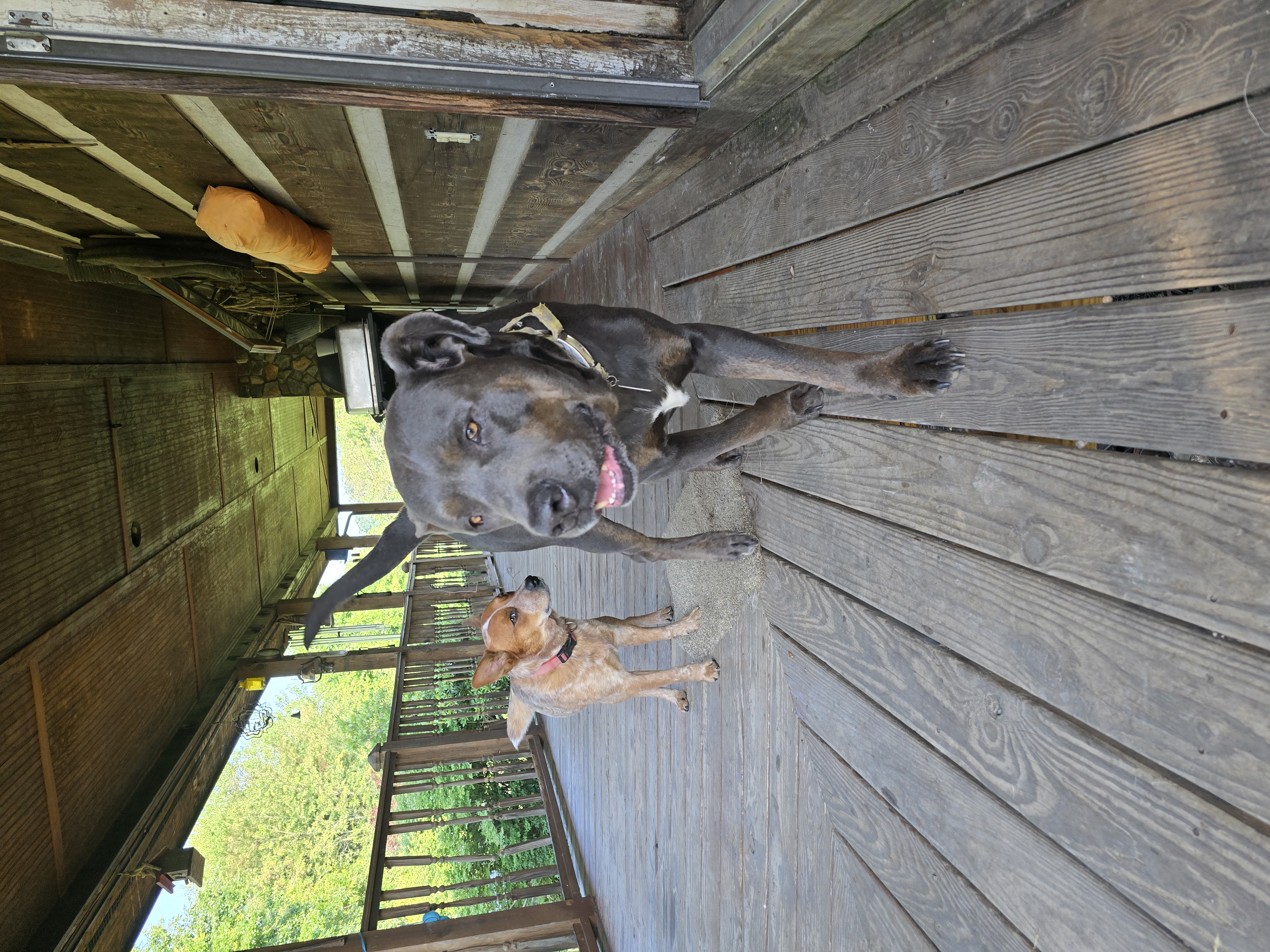 Gigi & Doc